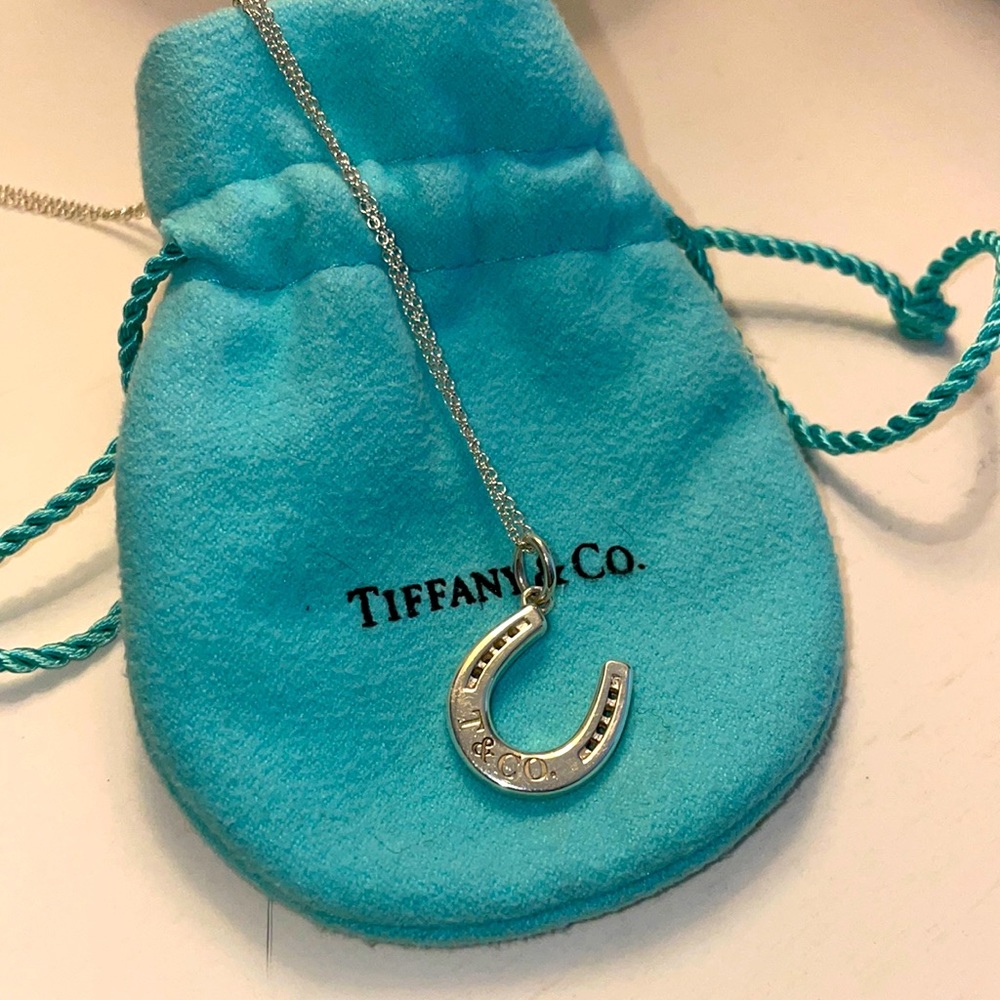 TiffNy and Co Sterling Silver Horseshoe Necklace